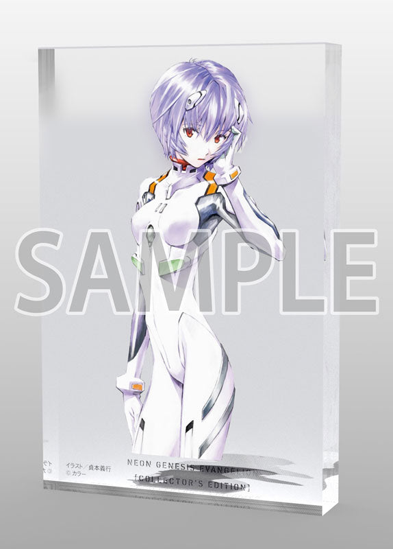 KDcolle NEON GENESIS EVANGELION Rei Ayanami KADOKAWA Special Set - Image 17