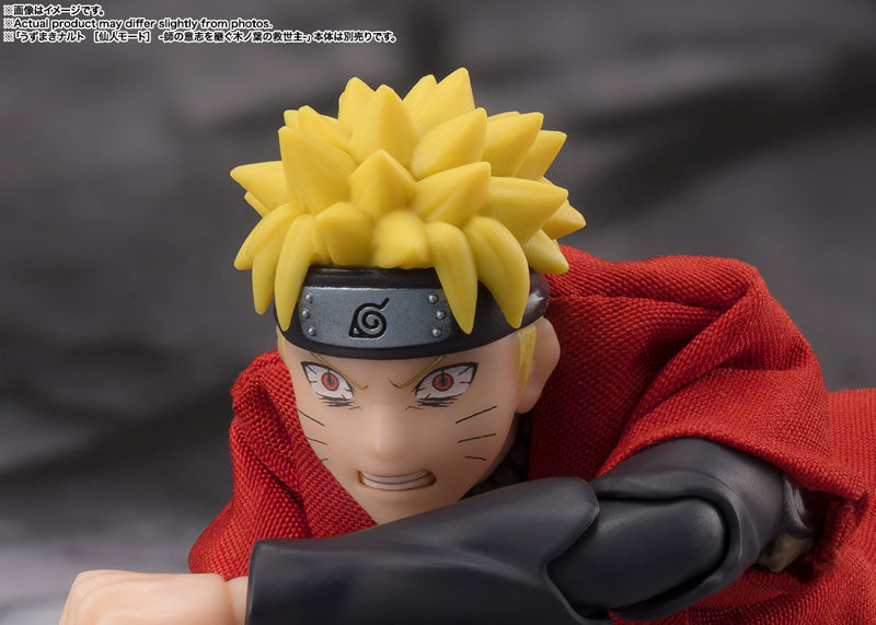 S.H.Figuarts Hinata Hyuga -Noble White Eyes- "NARUTO Shippuden" - Image 11