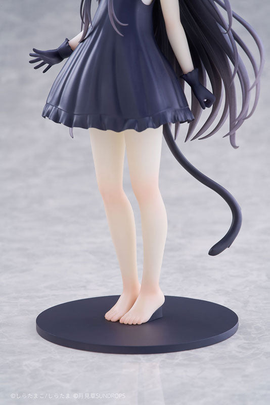 Hoshizora Tetsudou to Shiro no Tabi Noir 1/7 Figure - Image 14