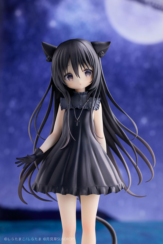 Hoshizora Tetsudou to Shiro no Tabi Noir 1/7 Figure - Image 18