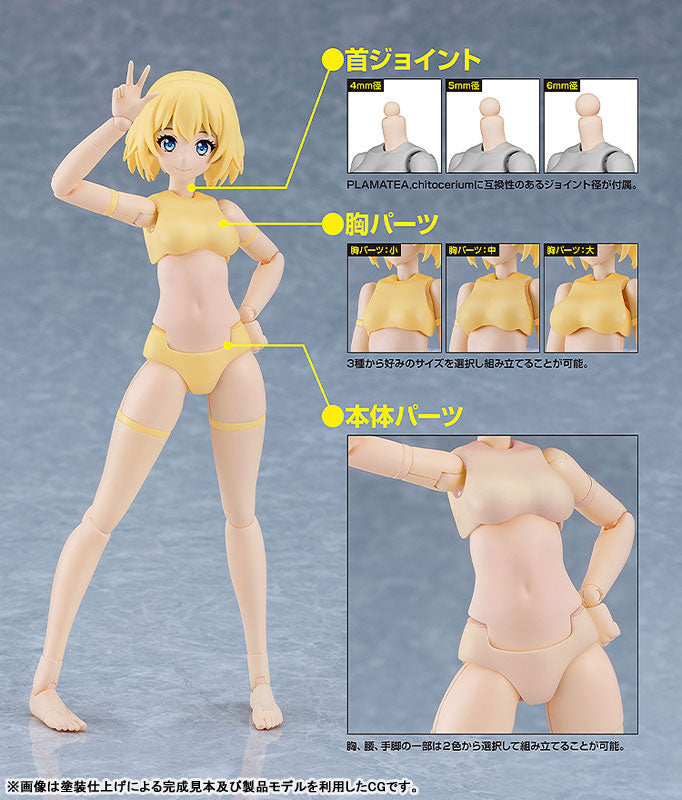 PLAMATEA Muse Body: Ichika B Type Plastic Model - Image 7