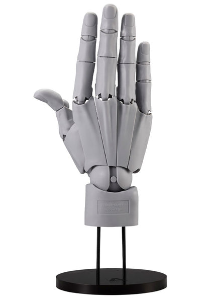 Takahiro Kagami ARTIST SUPPORT ITEM HAND MODEL MEN'S/R -GRAY- Action Figure - Image 2