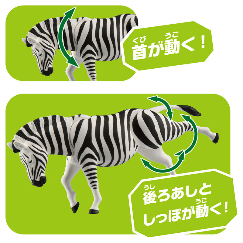 Ania AL-37 Zebra - Image 6