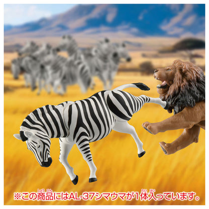 Ania AL-37 Zebra - Image 7