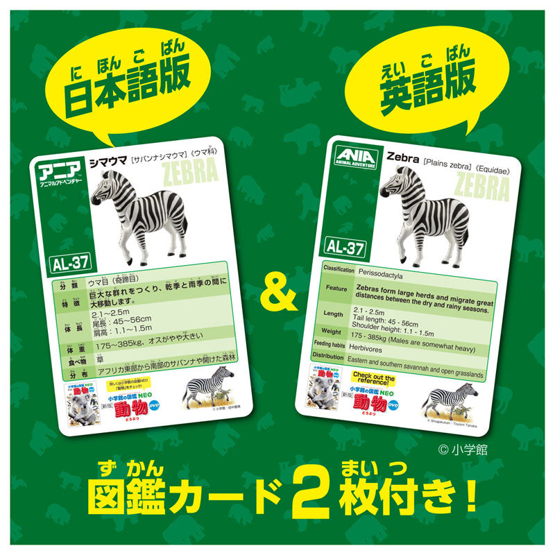 Ania AL-37 Zebra - Image 8