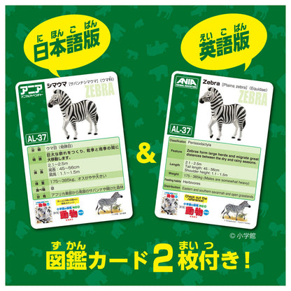 Ania AL-37 Zebra - Image 8