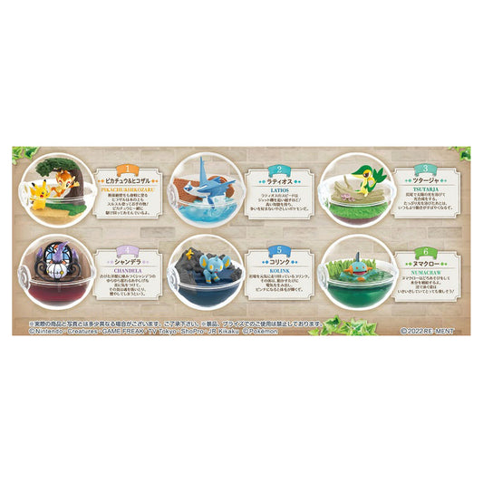 Pokemon Terrarium Collection 12 6Pack BOX - Image 1