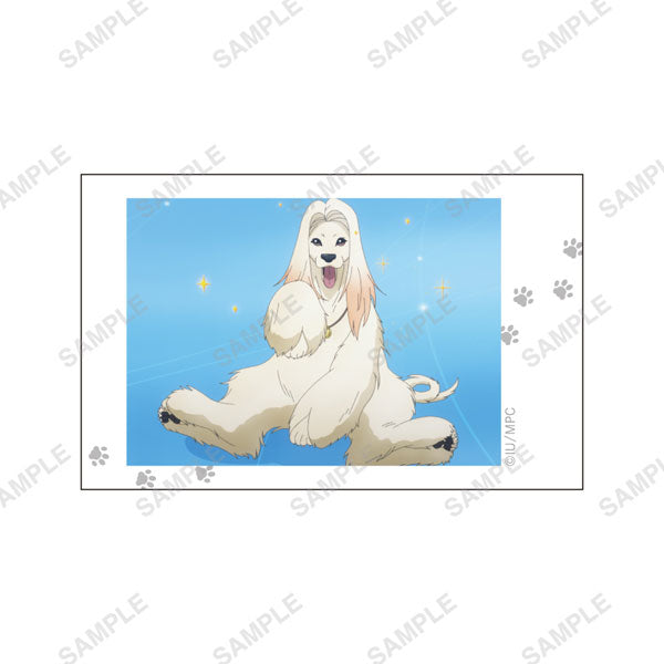 TV Anime "Delusional Monthly Magazine" -favorite series- Trading Mini Bromide 15Pack BOX - Image 6