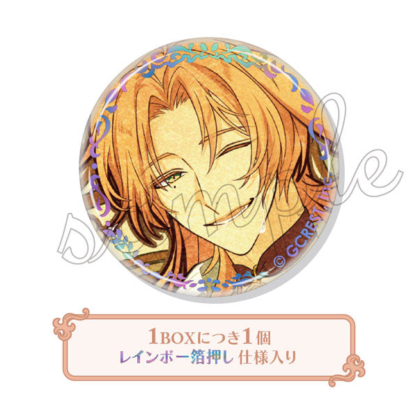 Dream Meister and the Recollected Black Fairy Trading Foil Tin Badge Vol.17 12Pack BOX - Image 14
