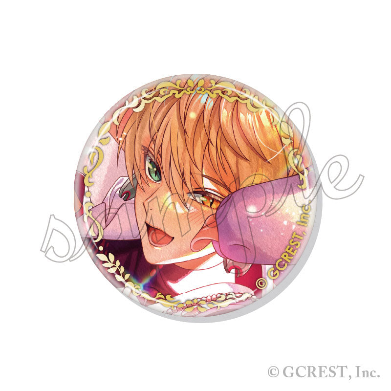 Dream Meister and the Recollected Black Fairy Trading Foil Tin Badge Vol.19 10Pack BOX - Image 8