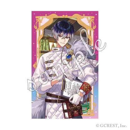 Dream Meister and the Recollected Black Fairy Shiny Card Collection Vol.7 9Pack BOX - Image 9