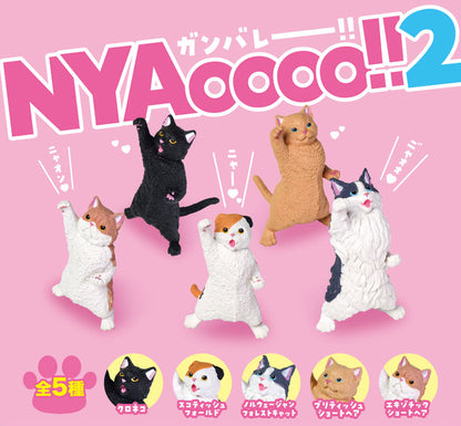 NYAoooo!! 2 10Pack BOX - Image 2