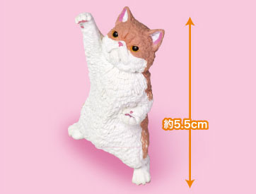 NYAoooo!! 2 10Pack BOX - Image 3