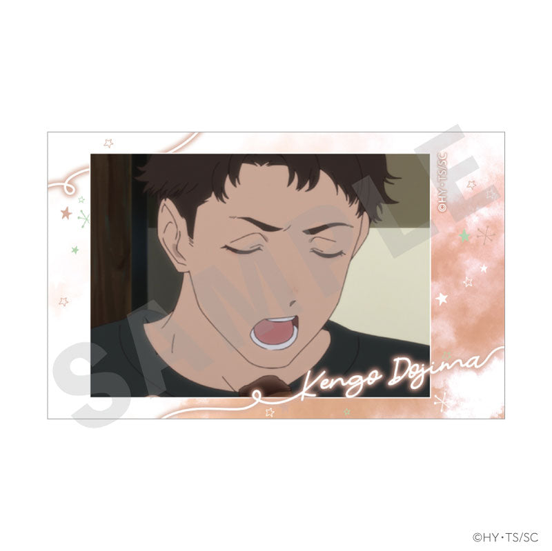 Shoushimin Series TV Anime Trading Instant Photo Style Card 15-Item Set - Image 8