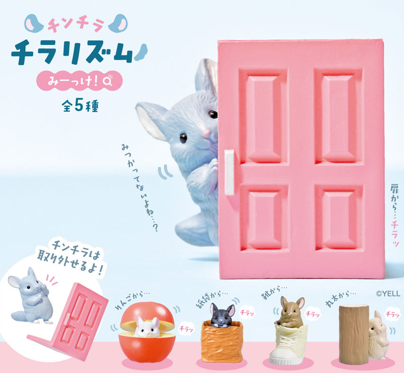 Chinchilla Chila Rhythm 10Pack BOX - Image 2