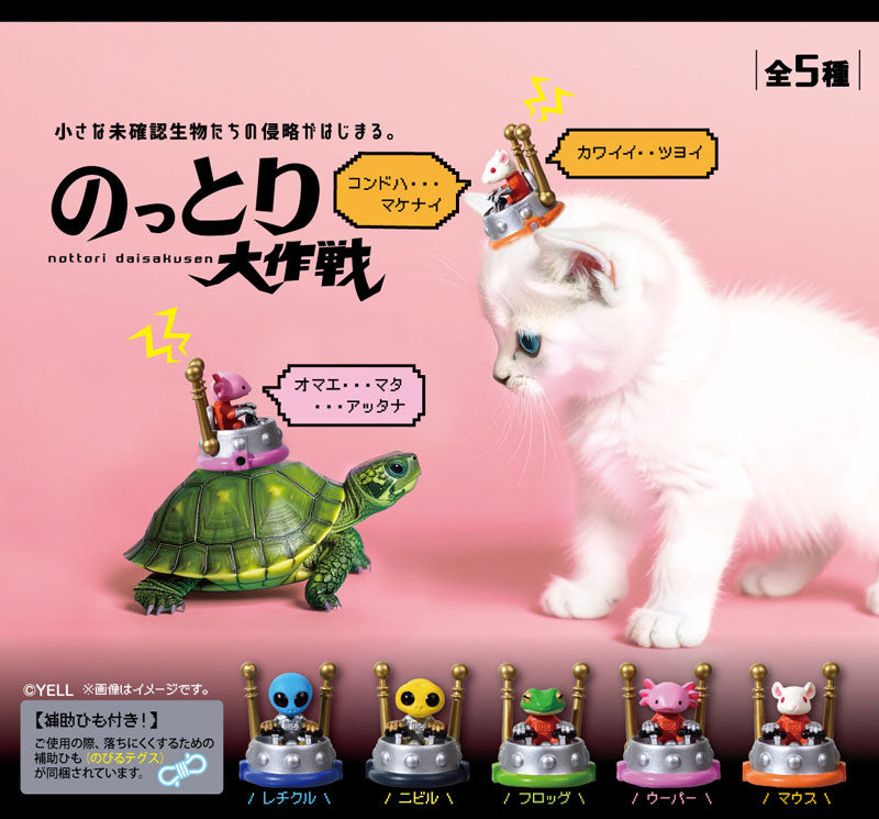 Nottori Daisakusen 10Pack BOX - Image 2