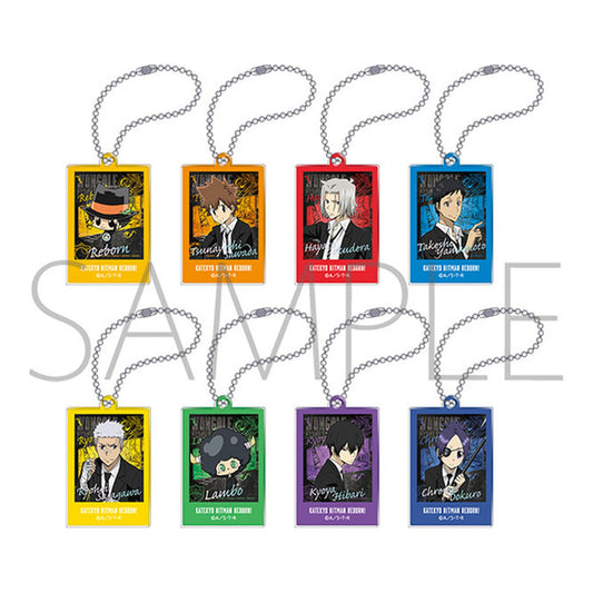 Reborn! PashaColle Mini Acrylic Keychain Collection 8Pack BOX - Image 1