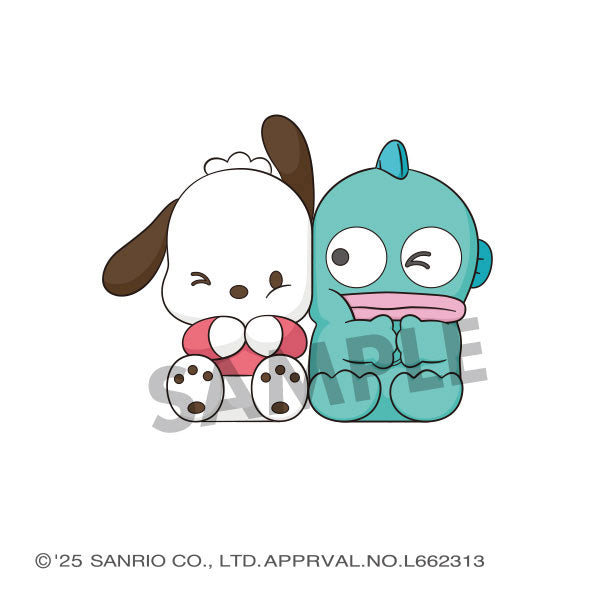 Pita Cute Sanrio Characters 4Pack BOX - Image 5