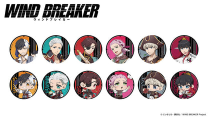 AFORCE x DRAGON HORSE WIND BREAKER (Pirate Ver.) Trading Tin Badge 12Pack BOX - Image 2