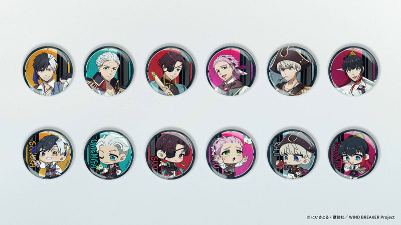 AFORCE x DRAGON HORSE WIND BREAKER (Pirate Ver.) Trading Tin Badge 12Pack BOX - Image 3