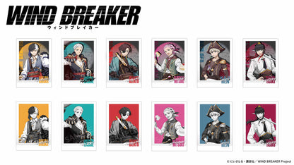 AFORCE x DRAGON HORSE WIND BREAKER (Pirate Ver.) Instant Camera Style Bromide (Glossy Card) 12Pack BOX - Image 2