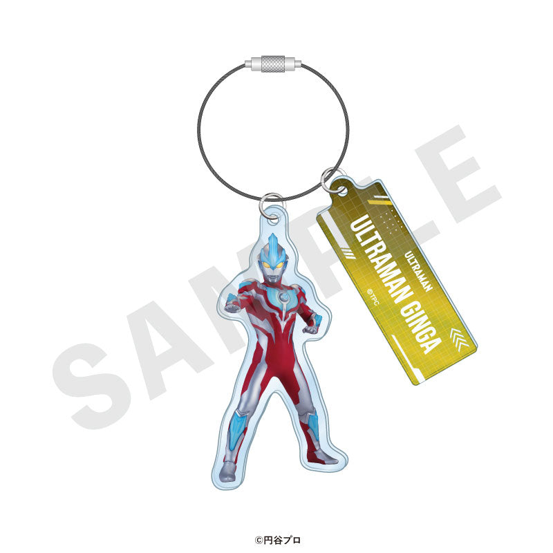"Ultraman Series" Trading Wire Keychain 19 Item Set - Image 3