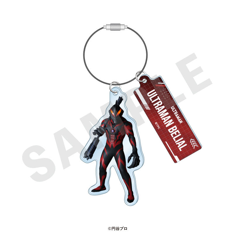 "Ultraman Series" Trading Wire Keychain 19 Item Set - Image 18