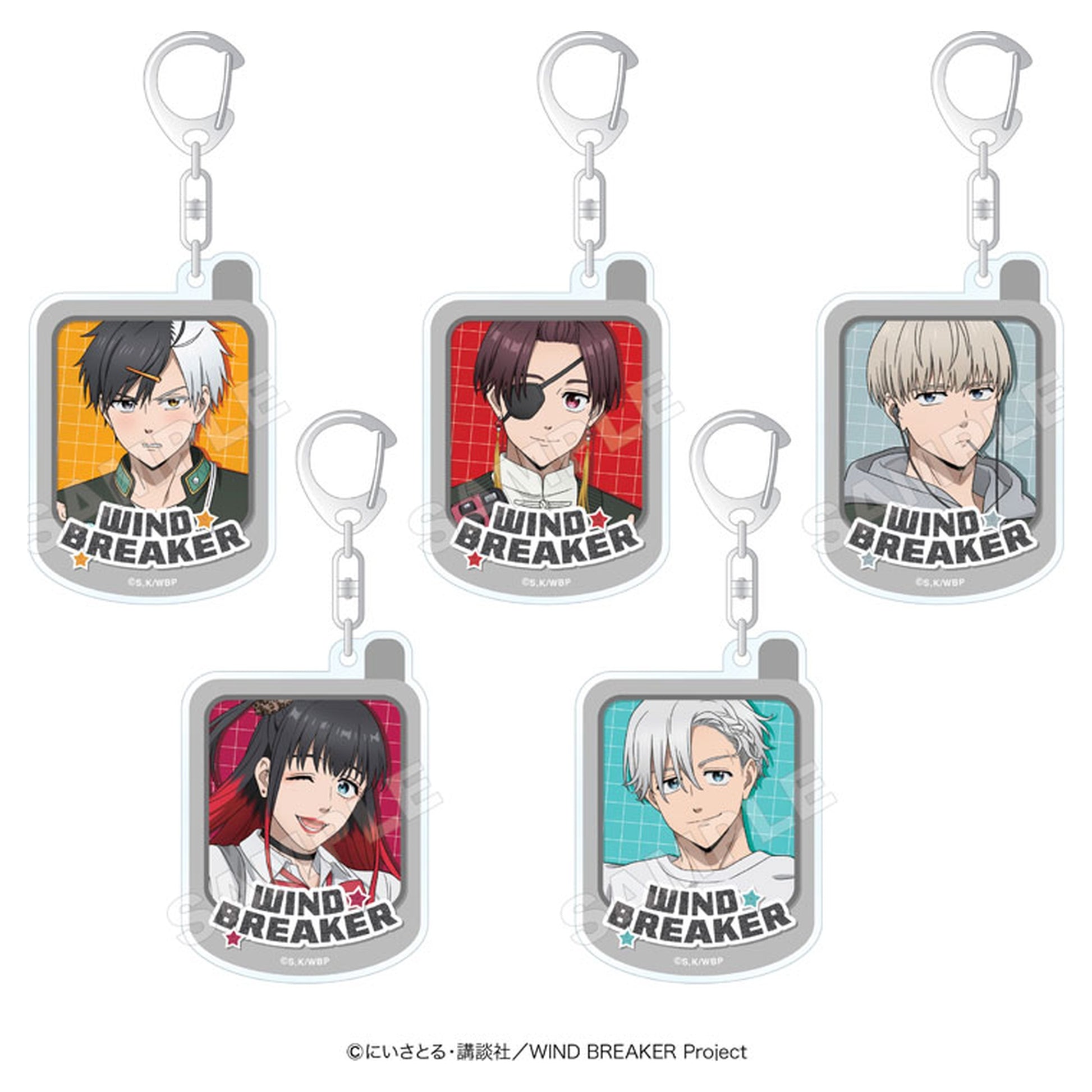WIND BREAKER Trading Acrylic Keychain 5Pack BOX - Image 1