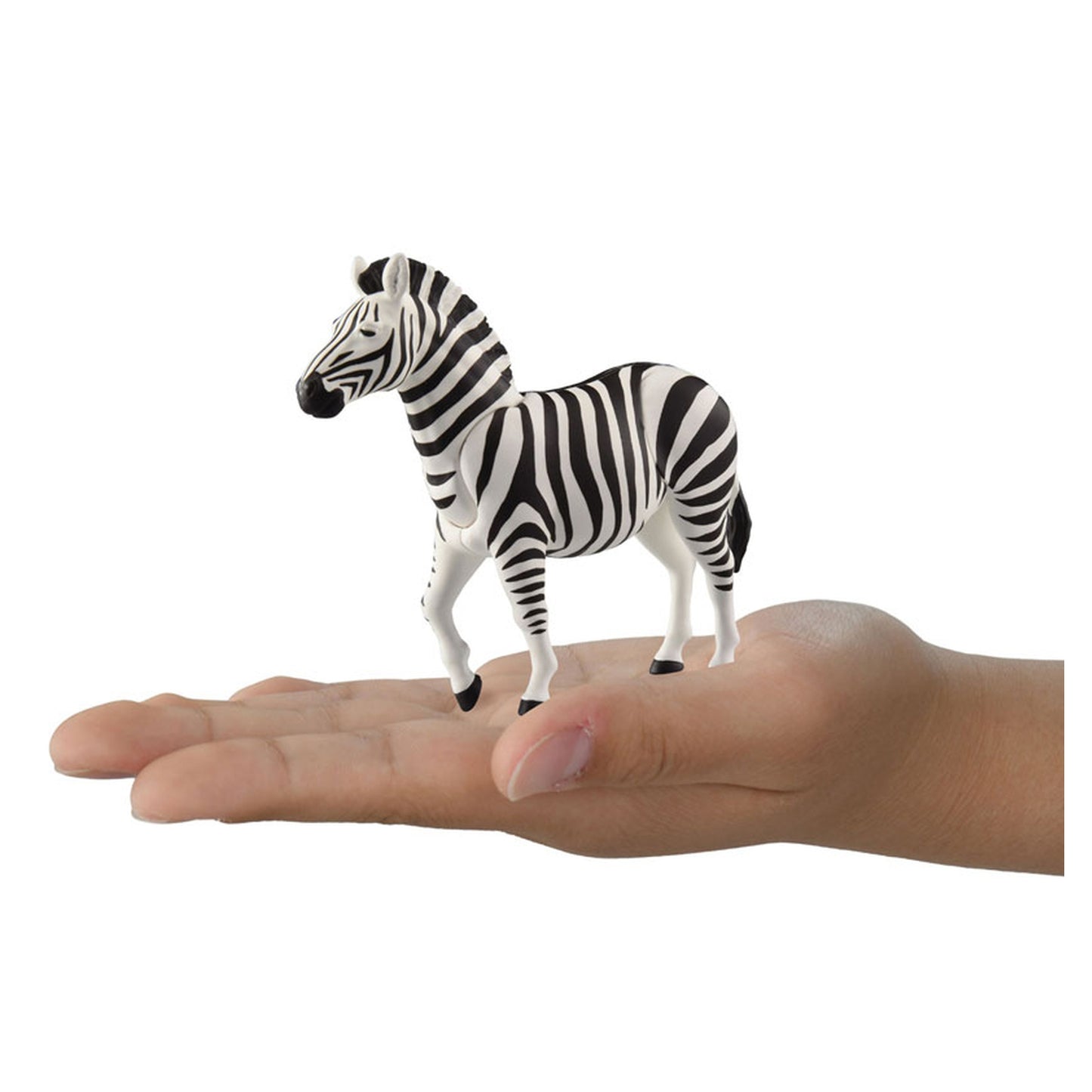 Ania AL-37 Zebra - Image 1