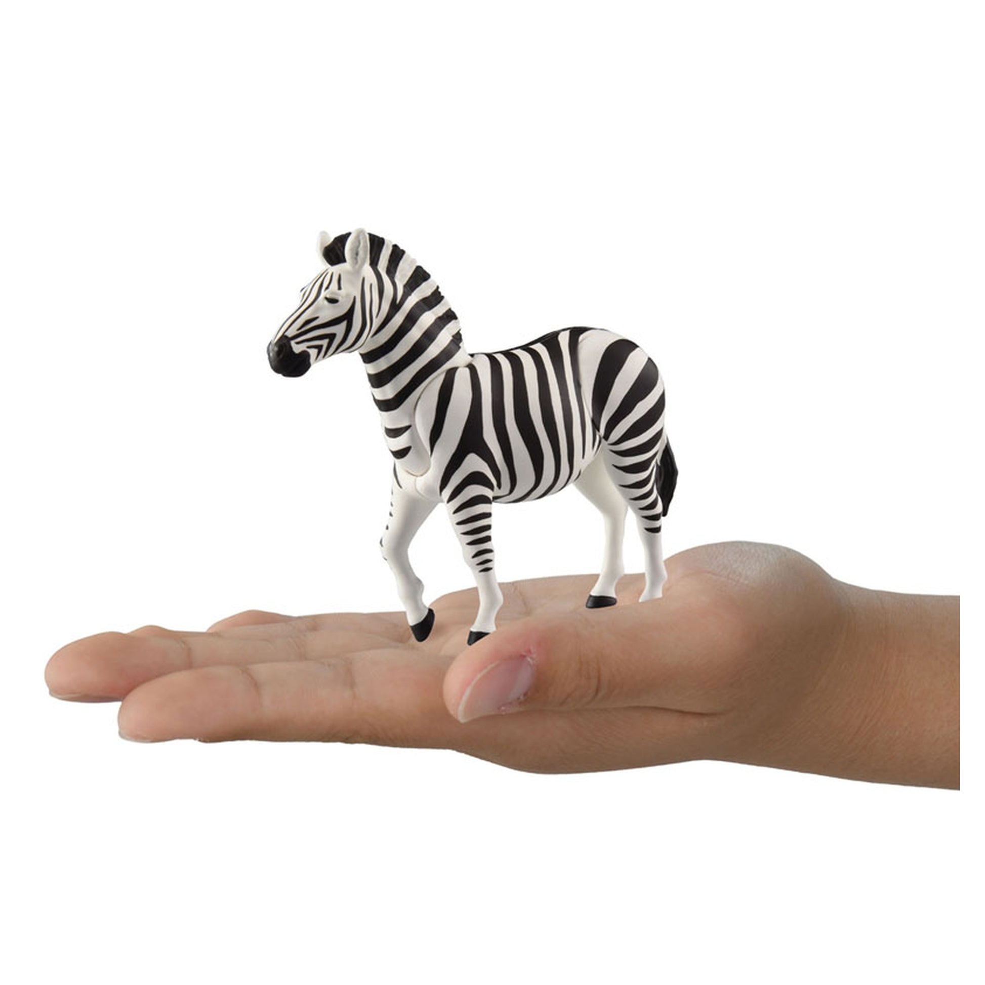 Ania AL-37 Zebra - Image 1