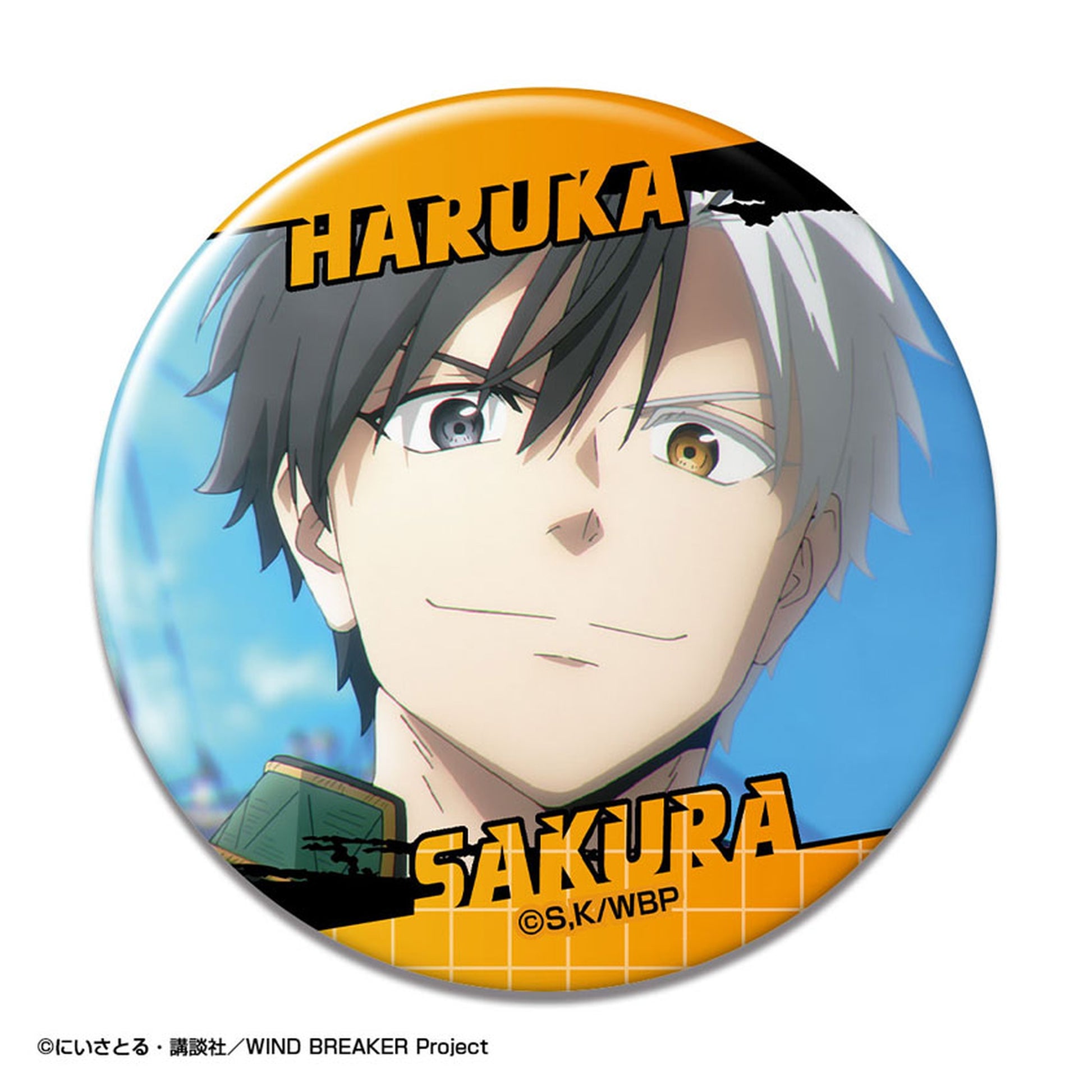 TV Anime WIND BREAKER Trading Tin Badge 10Pack BOX - Image 1