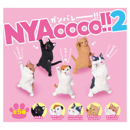 NYAoooo!! 2 10Pack BOX - Image 1