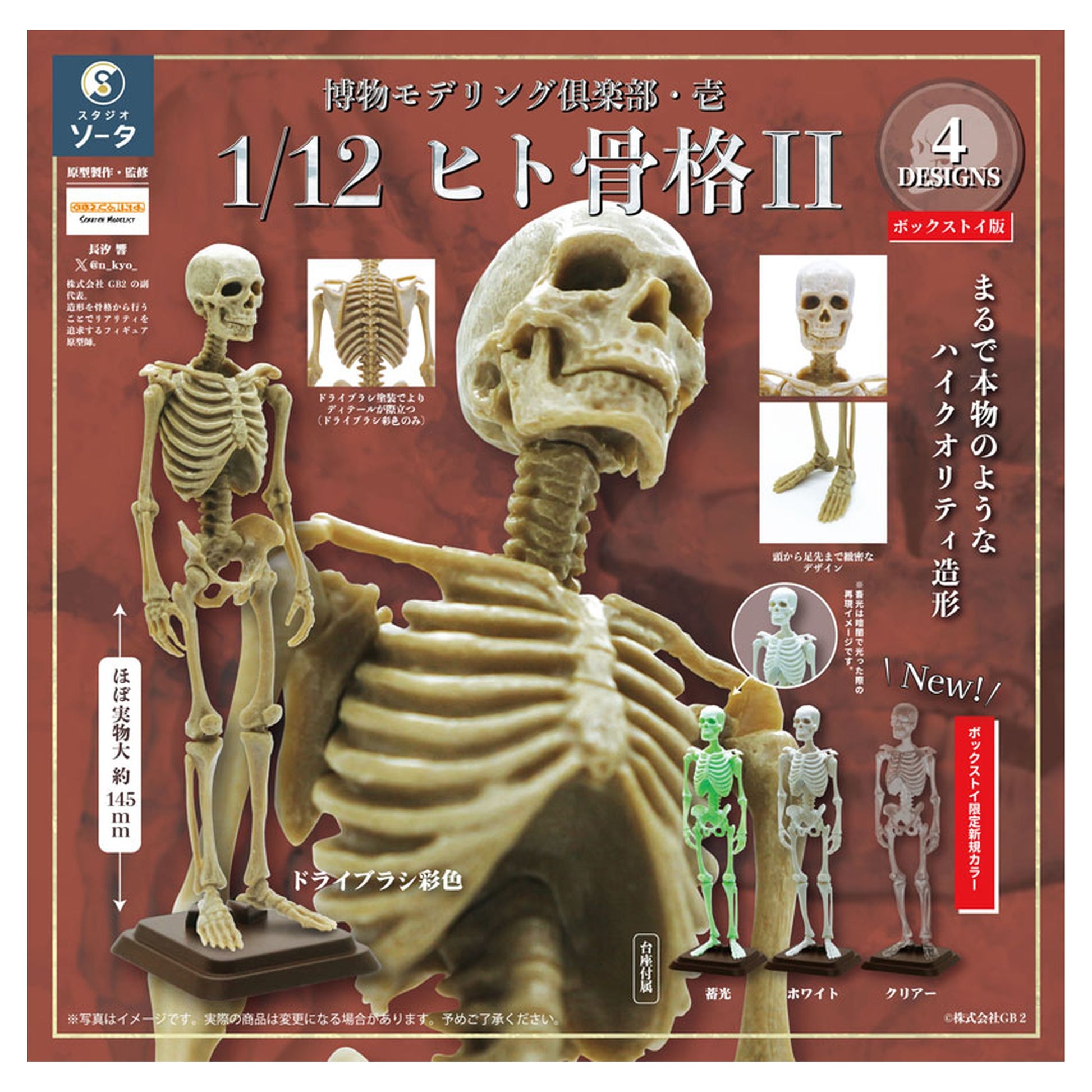 Hakubutsu Modeling Club 1 1/12 Human Skeleton II 4Pack BOX - Image 1