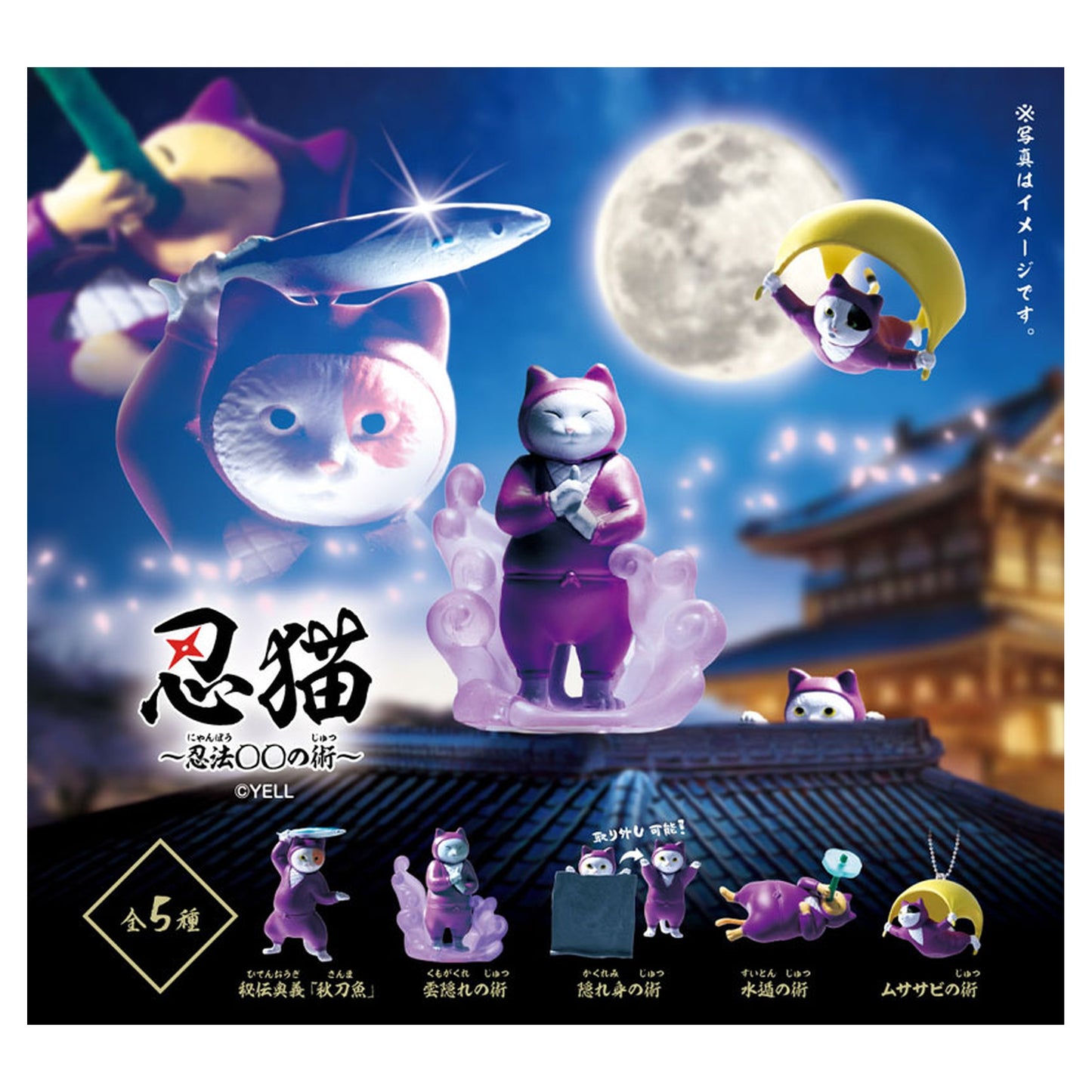 Shinobi Neko -Ninpo xx no Jutsu- 10Pack BOX - Image 1
