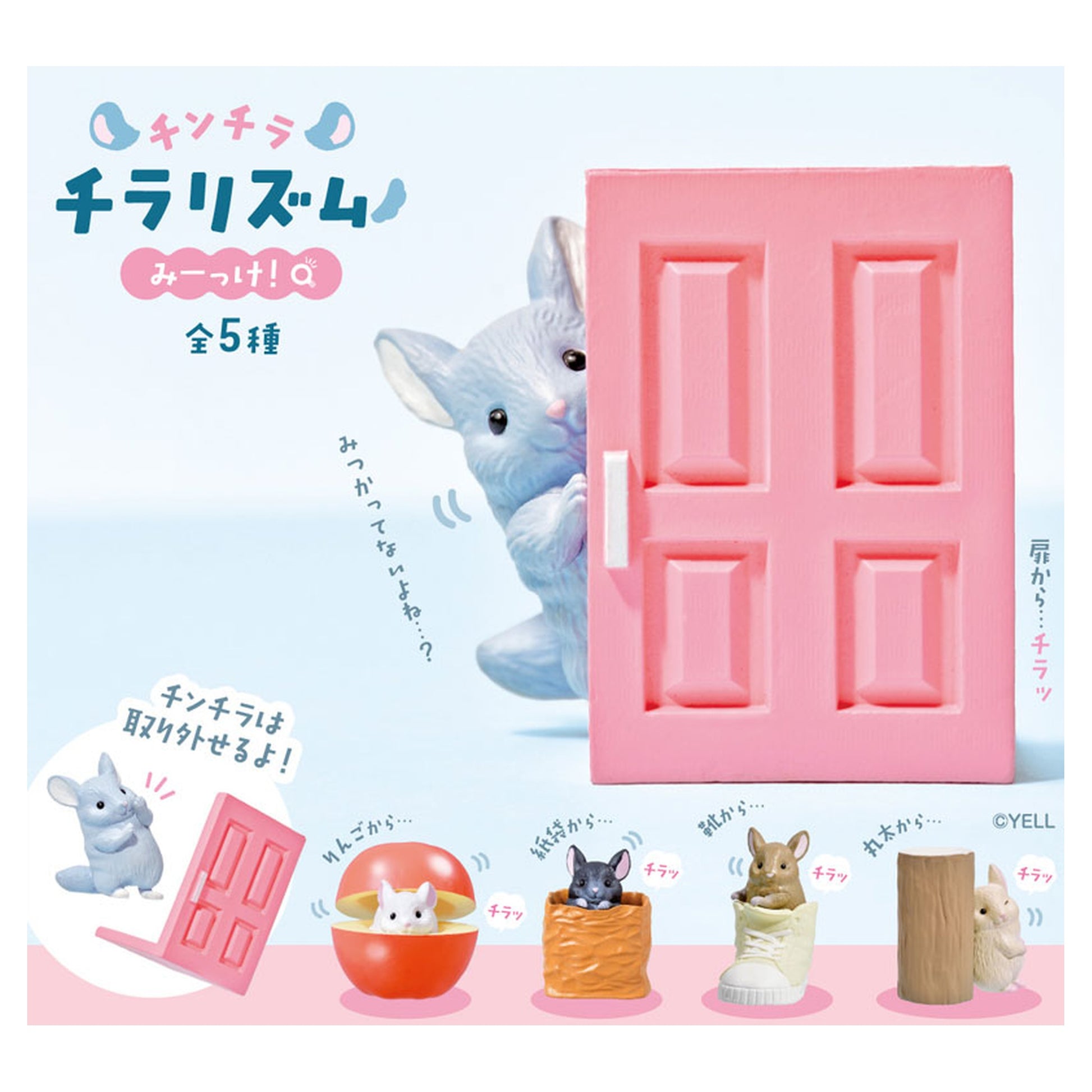 Chinchilla Chila Rhythm 10Pack BOX - Image 1