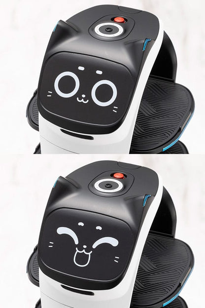 Pudu Robotics Grande ScalePlastic Model Kit BellaBot 19 cm